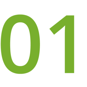 Grüne 01 zur Darstellung des ersten Schritts